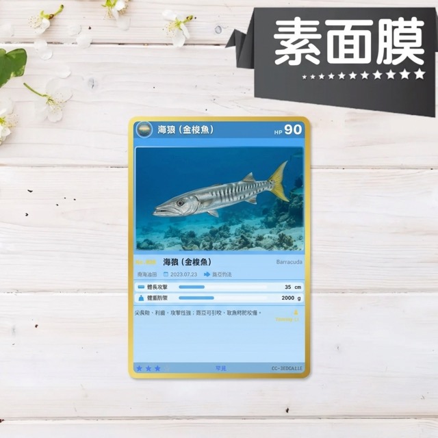 Matte-finish Cardcha physical fish card